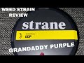 WEED STRAIN REVIEW‼️‼️ -STRANE GRANDDADDY PURPLE 🍇