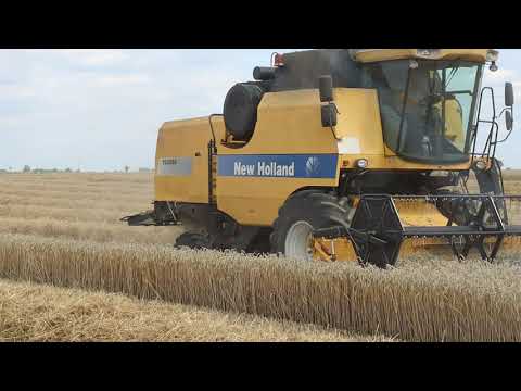 Obrazek poglądowy filmu YouTube