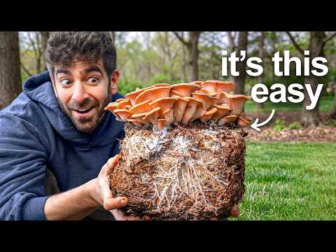 I Tried EVERY Way To Grow Mushrooms At Home