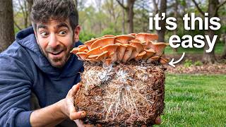 8 Mushroom Growing Methods — Full Breakdown & Transcript