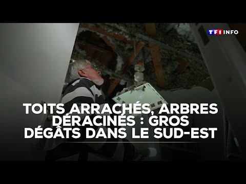 Toits arrachés, arbres déracinés : gros dégâts dans le Sud-Est