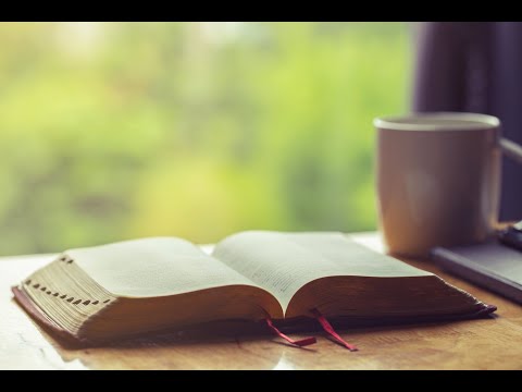 Bible and brew Day 333 - Esther, 1 Corinthians, Psalm, Proverbs (NET)