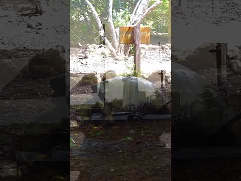 san cristobal 2 - turtle island #psychogeography #galapagos #evolution