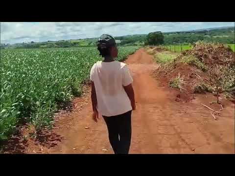 👉 Essa trilha em Mineiros-GO nos enganou… 😱Trilha da Barbie