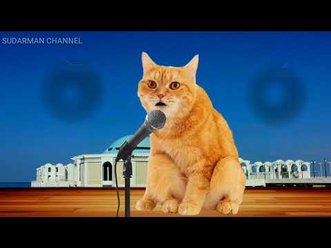 RAHMATAN LIL ALAMEEN THE CAT SINGS IN A MOODY VOICE _ Smart Cat