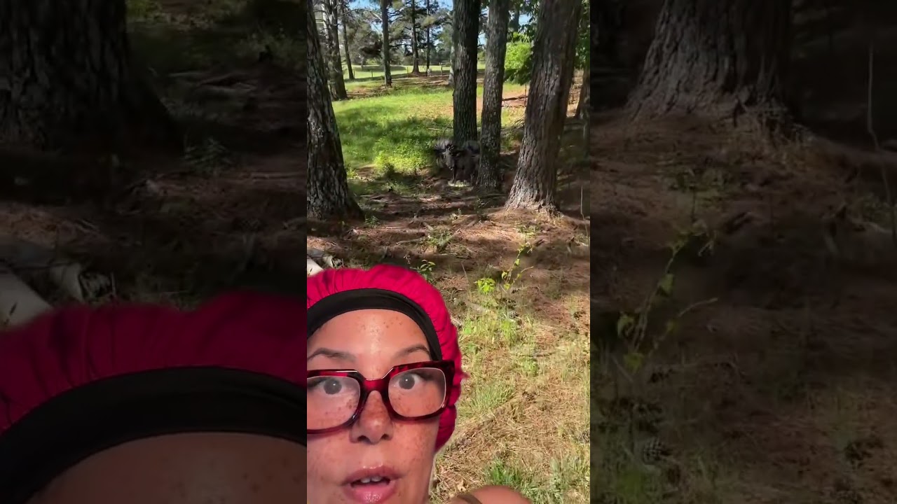 He Took One Step Too Close… And Instantly Regretted It 😳