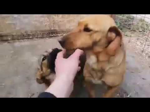 LAKEISHA - Ausgereist 19.04.2019