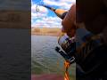 Video Thumbnail for Would You Take A Second Hand Fish?? #spring #fishing #pike