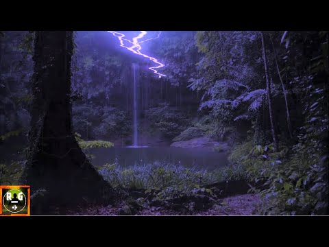 Jungle Thunderstorm at Night | Rain, Thunder and Animal Sounds for Sleeping, Studying, Relaxing
