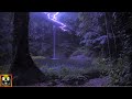 Jungle Thunderstorm At Night Rain Thunder And Animal Sounds For Sleeping Studying Relaxing