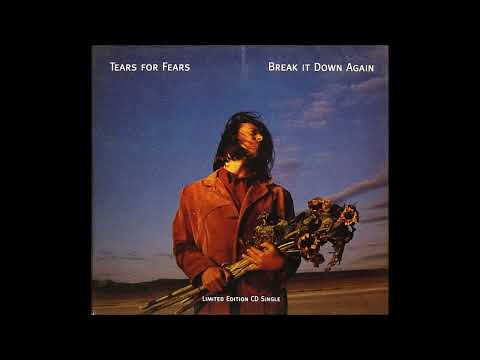 Tears For Fears - Break It Down Again (Instrumental)