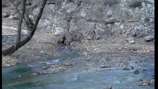 preview picture of video 'Πηγές Αροάνιου ποταμού - Πλανητέρο * Planitero Kalavrita'