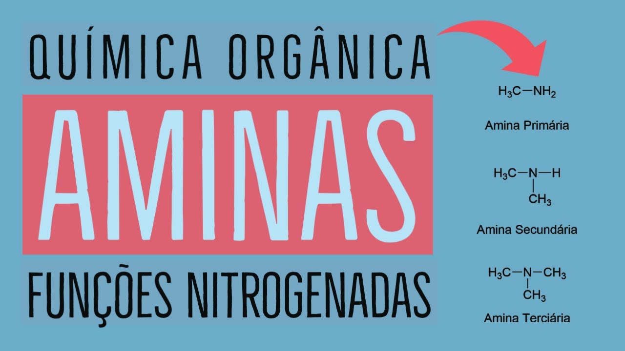 AMINAS: Características e Nomenclatura | Aula 21