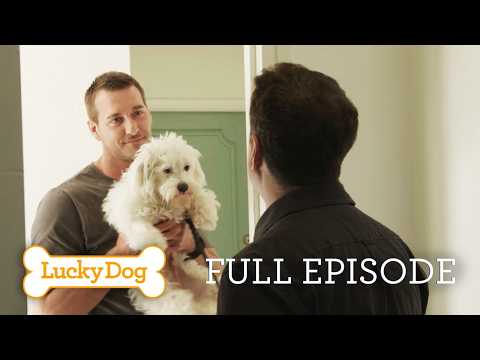 Stray Dog Becomes a Therapy Dog for Kids!  Mitzi | Lucky Dog Full Episode