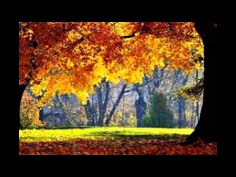 " Autumn leaves "  Dennis Marcellino e Mark Stefani