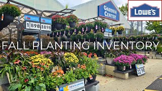 New Arrivals! Lowes Late September Inventory Fall Plants, Perennials, Shrubs & Spring Bulbs!