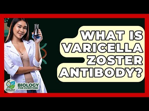 What Is Varicella Zoster Antibody? - Biology For Everyone