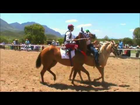 PRIMAVERA VS PADRINO 440 YARDAS RANCHO EL TEXANO