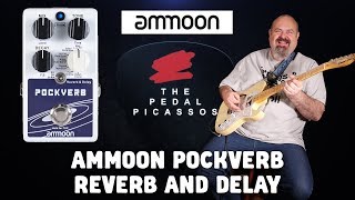 Video thumbnail for AMMOON POCKVERB REVERB AND DELAY by The Pedal Picassos