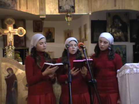 Oastea Domnului - Tineri dragi