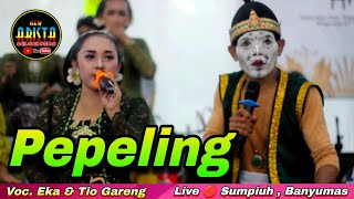Download lagu Pepeling || Eka & Tio Gareng || New Arista Music || Banjarnegara || Live 🔴 Sumpiuh , Banyumas mp3