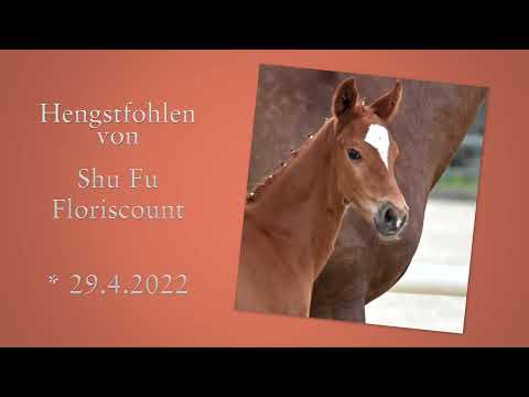 Nr 22 HF von Shu Fu x Floriscount