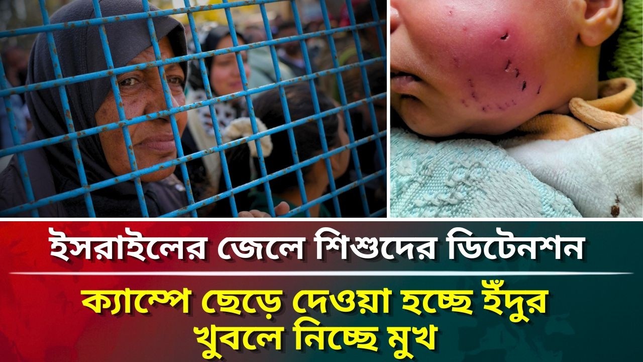 ইসরাইলের জেলে শিশুদের ডিটেনশন ক্যাম্পে ছেড়ে দেওয়া হচ্ছে ইঁদুর, খুবলে নিচ্ছে মুখ #puberkalom #today