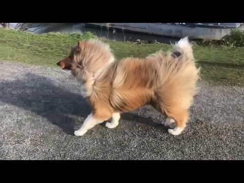 Gale at the VMM January 11, 2020