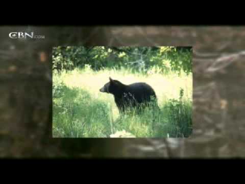 Town's Radical Change a 'Hope for America' - CBN.com