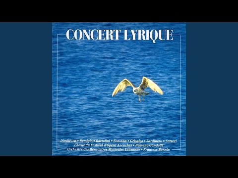 Turandot: Nessu dorma