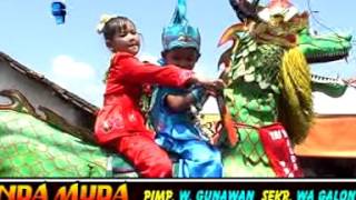 Download lagu 14 Iwak Lohan 1 Naga Dangdut Trinanda Muda mp3