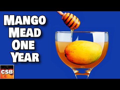 Mango Mead - AGED One YEAR!  Let's taste it.
