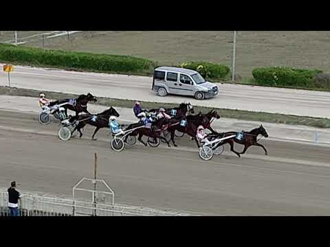 Aversa trotto 26 Settembre 2020 - 4° Corsa