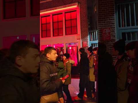 Windows Of Amsterdam | Amsterdam The Red Light District De Wallen