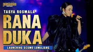 Download lagu RANA DUKA - TASYA ROSMALA OM NIRWANA COMEBACK | IVE LAUNCHING SCSMO LUMAJANG mp3 Download lagu RANA DUKA - TASYA ROSMALA OM NIRWANA COMEBACK | IVE LAUNCHING SCSMO LUMAJANG mp3