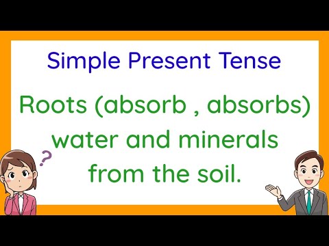 Simple Present Tense of Verbs (with Activity)