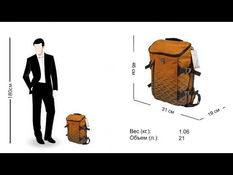 Рюкзак Victorinox VX Laptop Touring Gold Flame 21л 