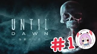 真っ暗ホラー実況！アンティルドーン＃1