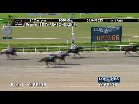 230401 c02 WATCH THE DOG