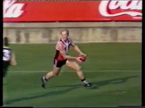 1986 Rd  11 St Kilda v Geelong VFL Park 2nd  Quarter