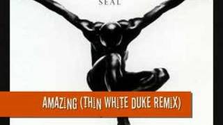 Seal - Amazing (Thin White Duke Remix)
