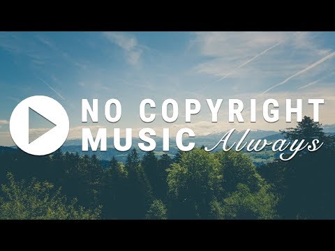 Once And For All - Elias Naslin feat. Elbot [No Copyright Music]