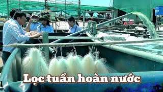 Effective shrimp farming environment management by water circulation filtration