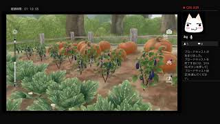 ［天サポ］キングダムハーツ3［実況］PART9