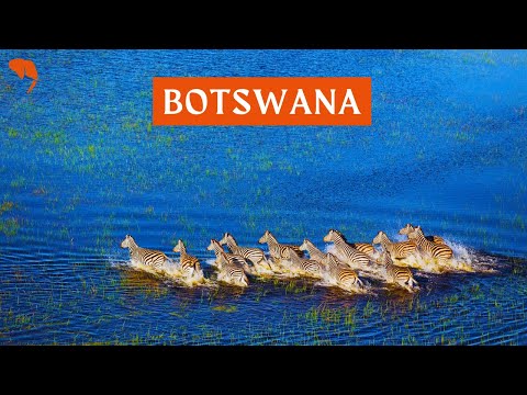 Botswana Safari Video Thumbnail