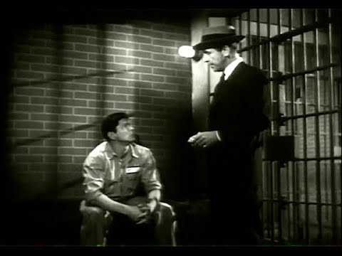 The Witness (1952) Dick Powell crime drama