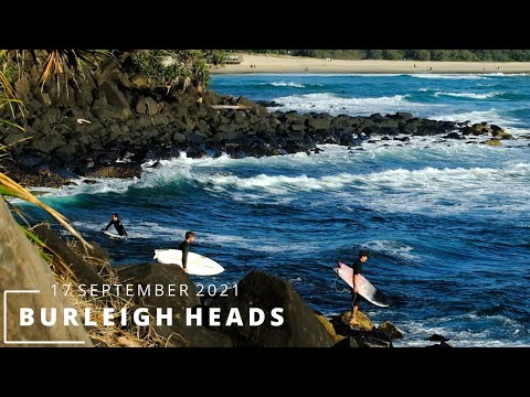 Head Dips At Burleigh - Friday 17 September 2021