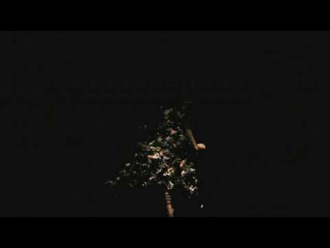 Björk - Trance (Alexander McQueen Tribute by Nick Knight)