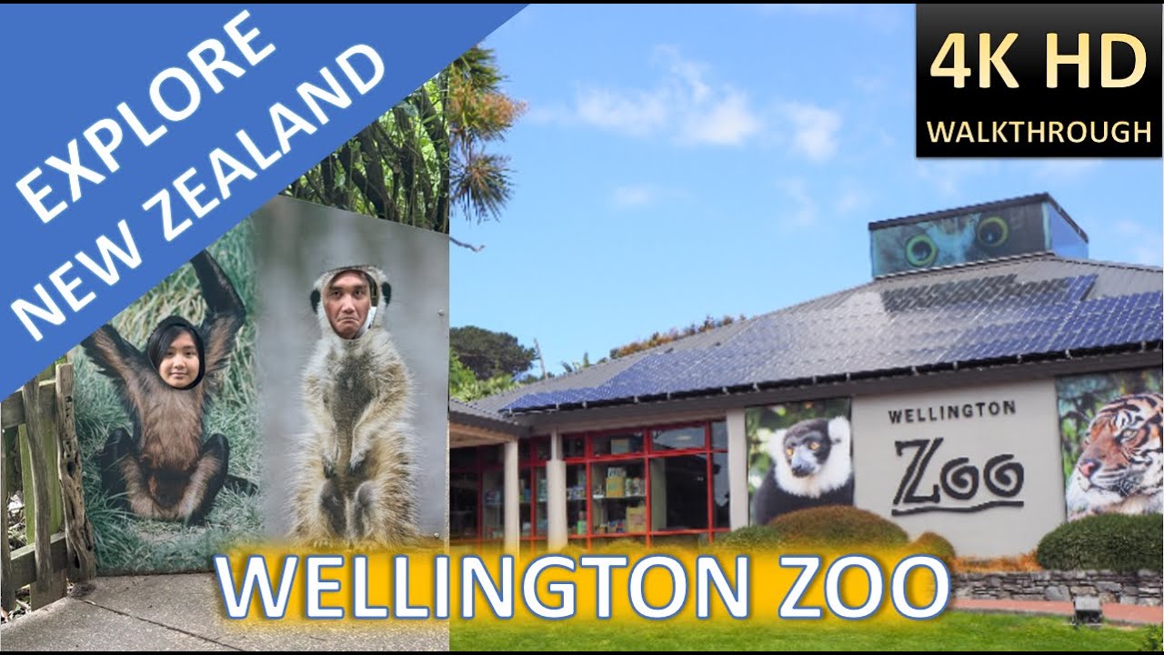 Embark on a walking tour at Wellington Zoo.