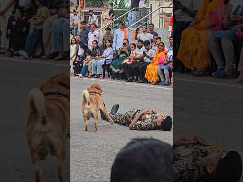 दोस्ती ऐसी🫂जो ड्यूटी पर भी साथ 🤝और मुश्किल⚠️ में भी साथ🤝#dog #dosti #shortvideo